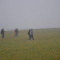 Zys (14)